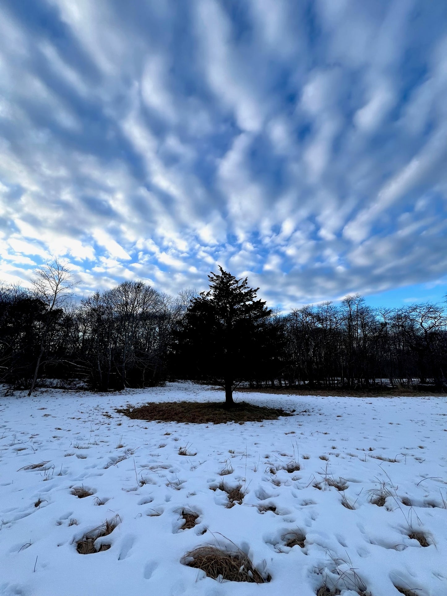 Cloud Art Photograph