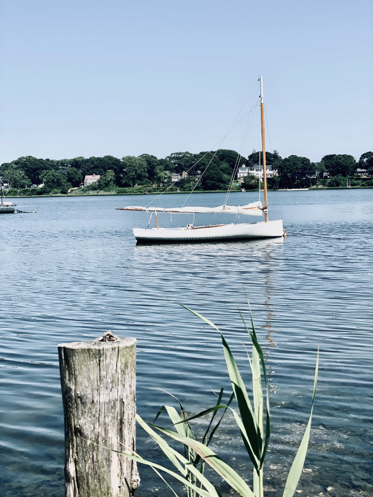 Buoy Bound Photograph