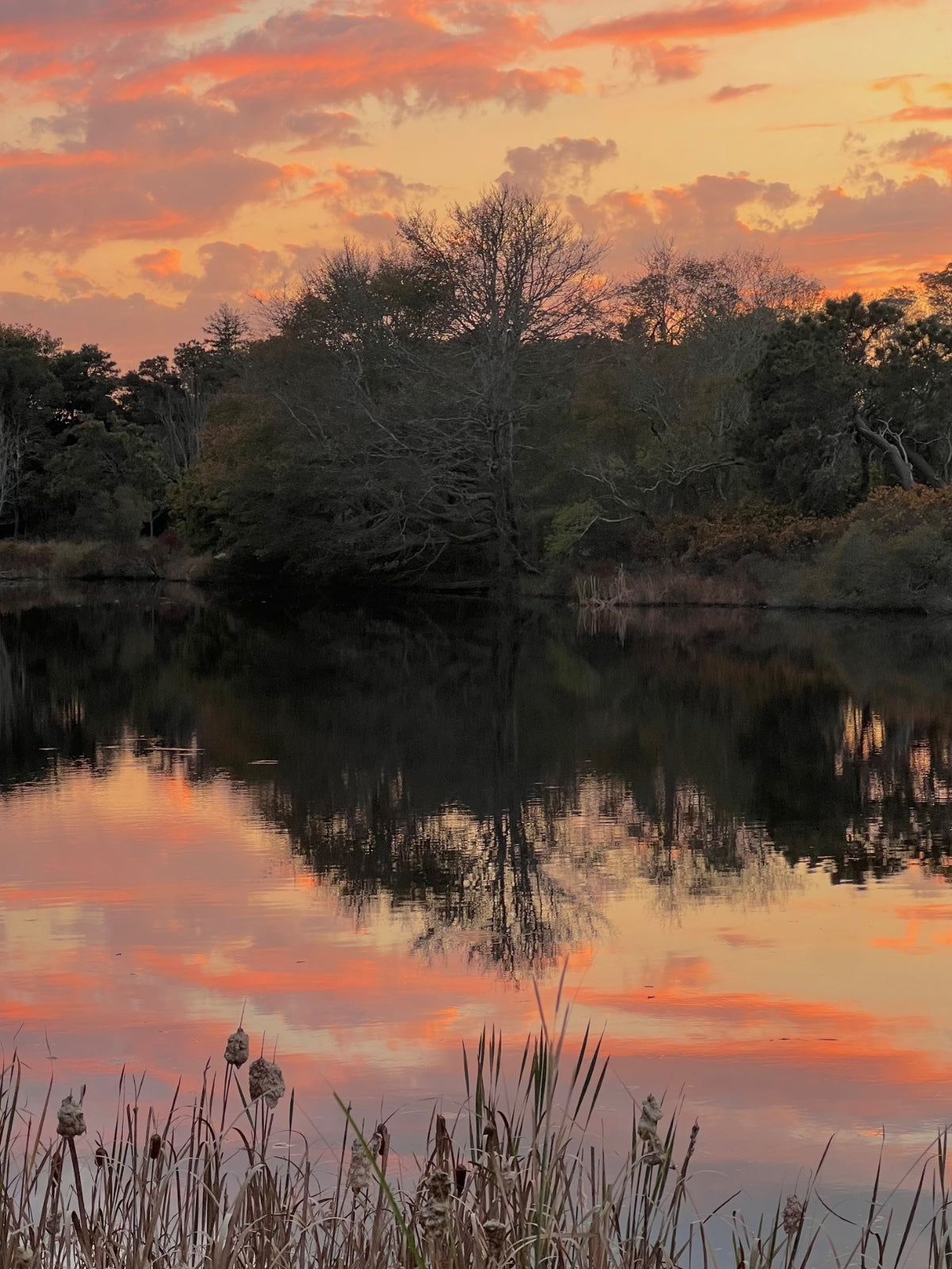 Upside Down Photograph