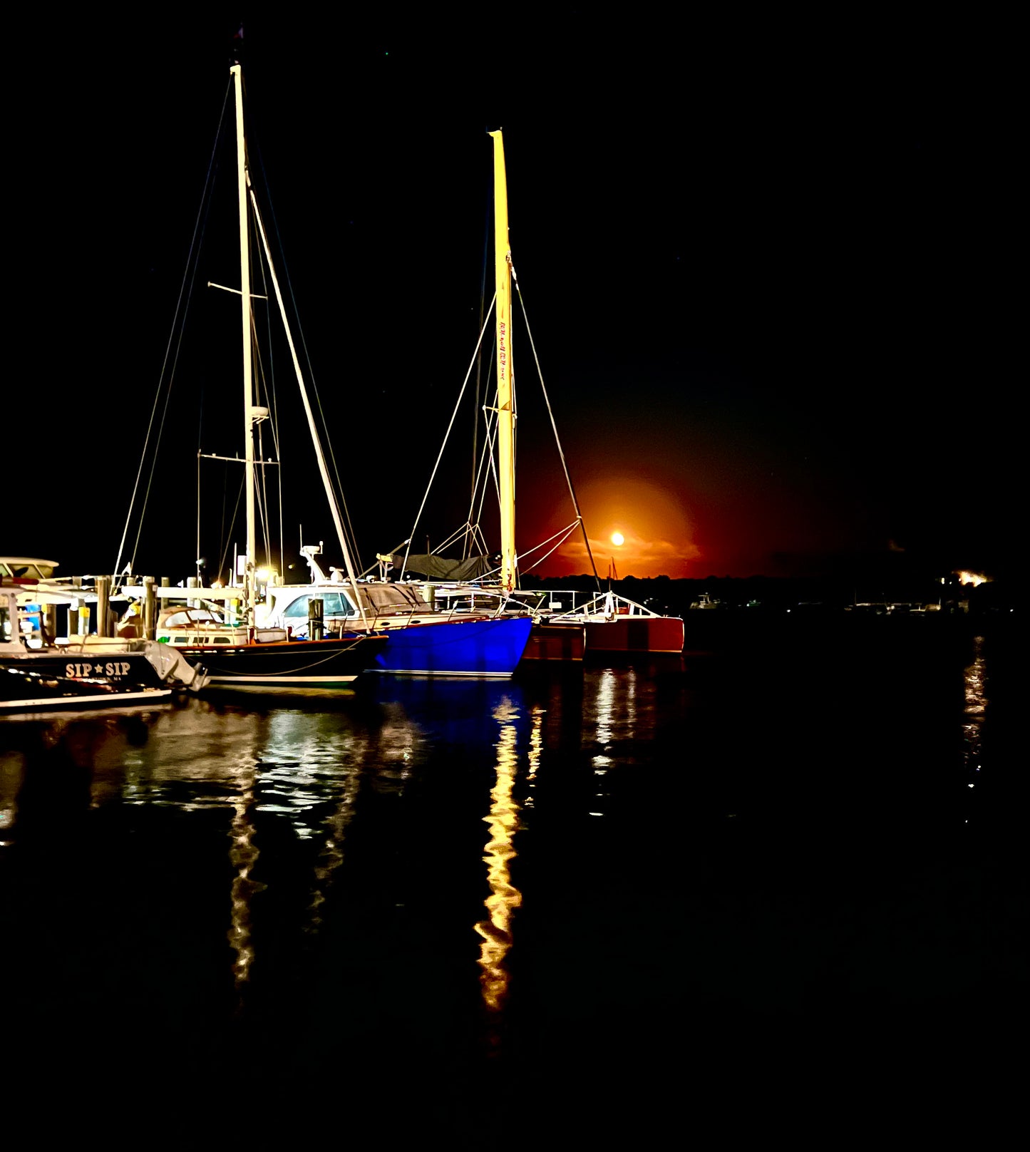 “Friends in the Night” Photograph