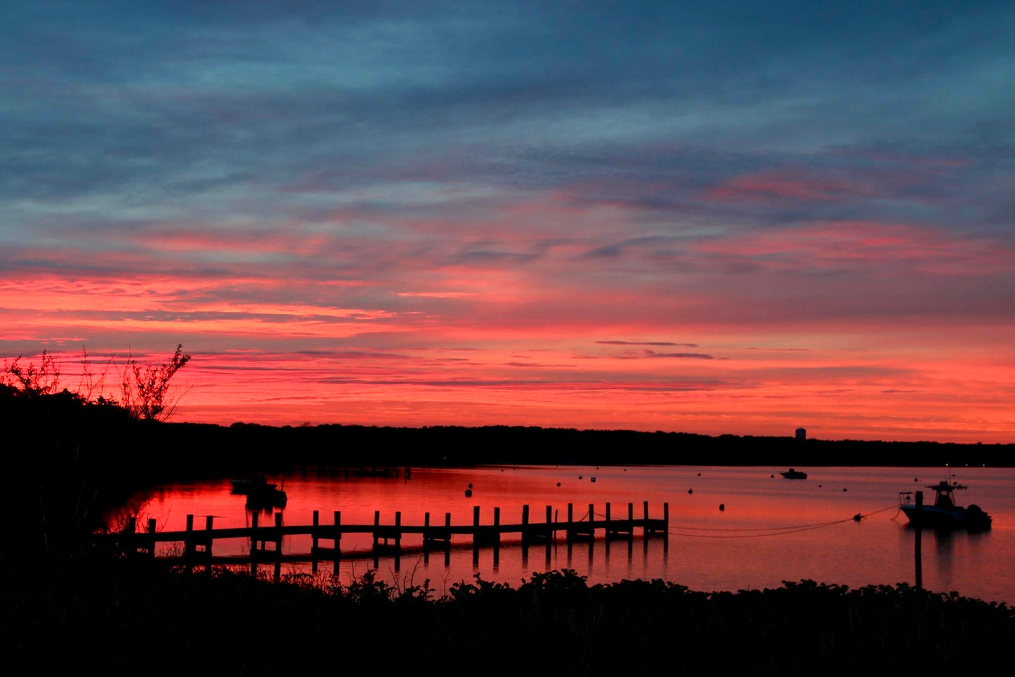 Rosewater Photograph