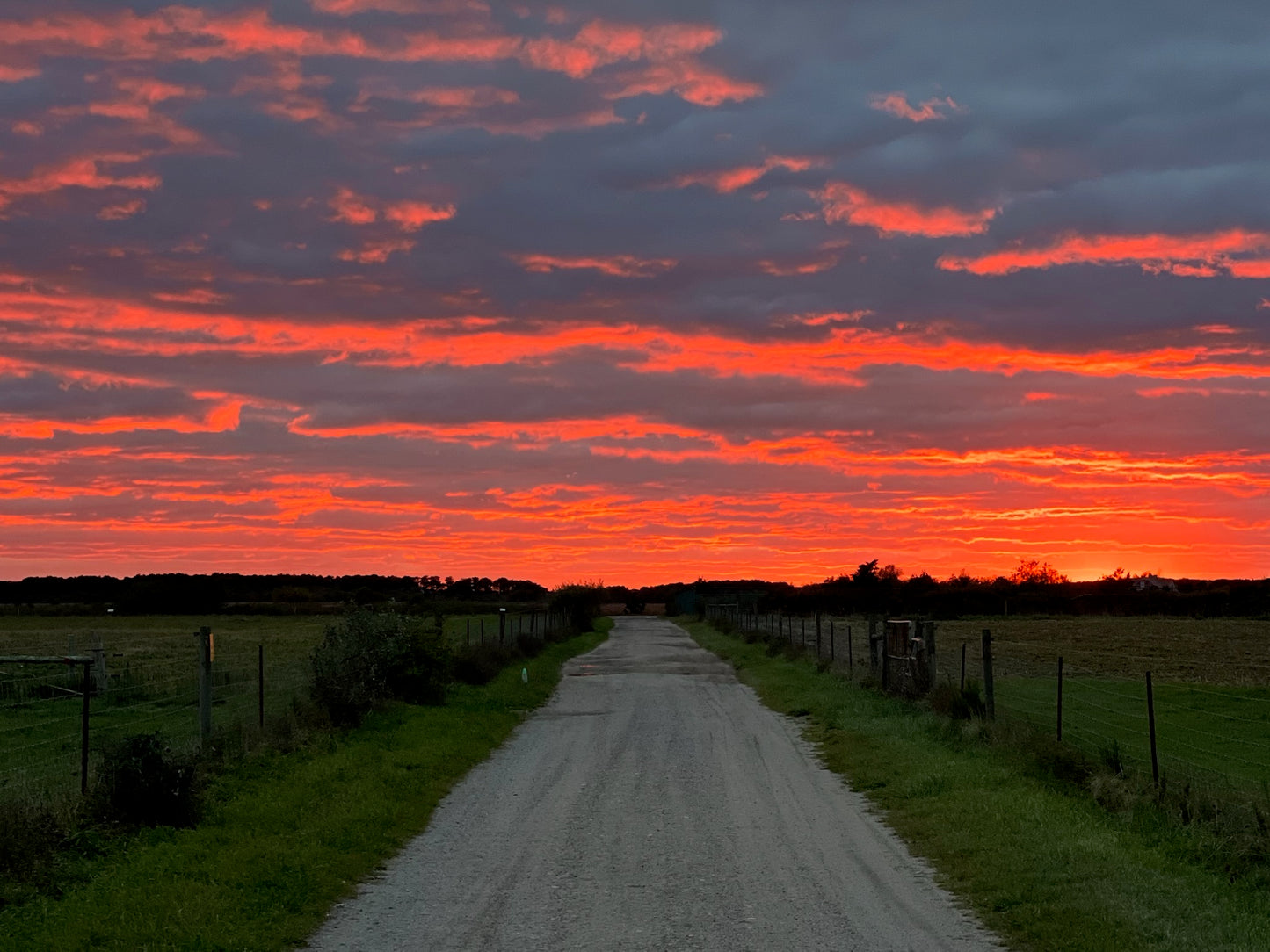 Distant Flames Photograph