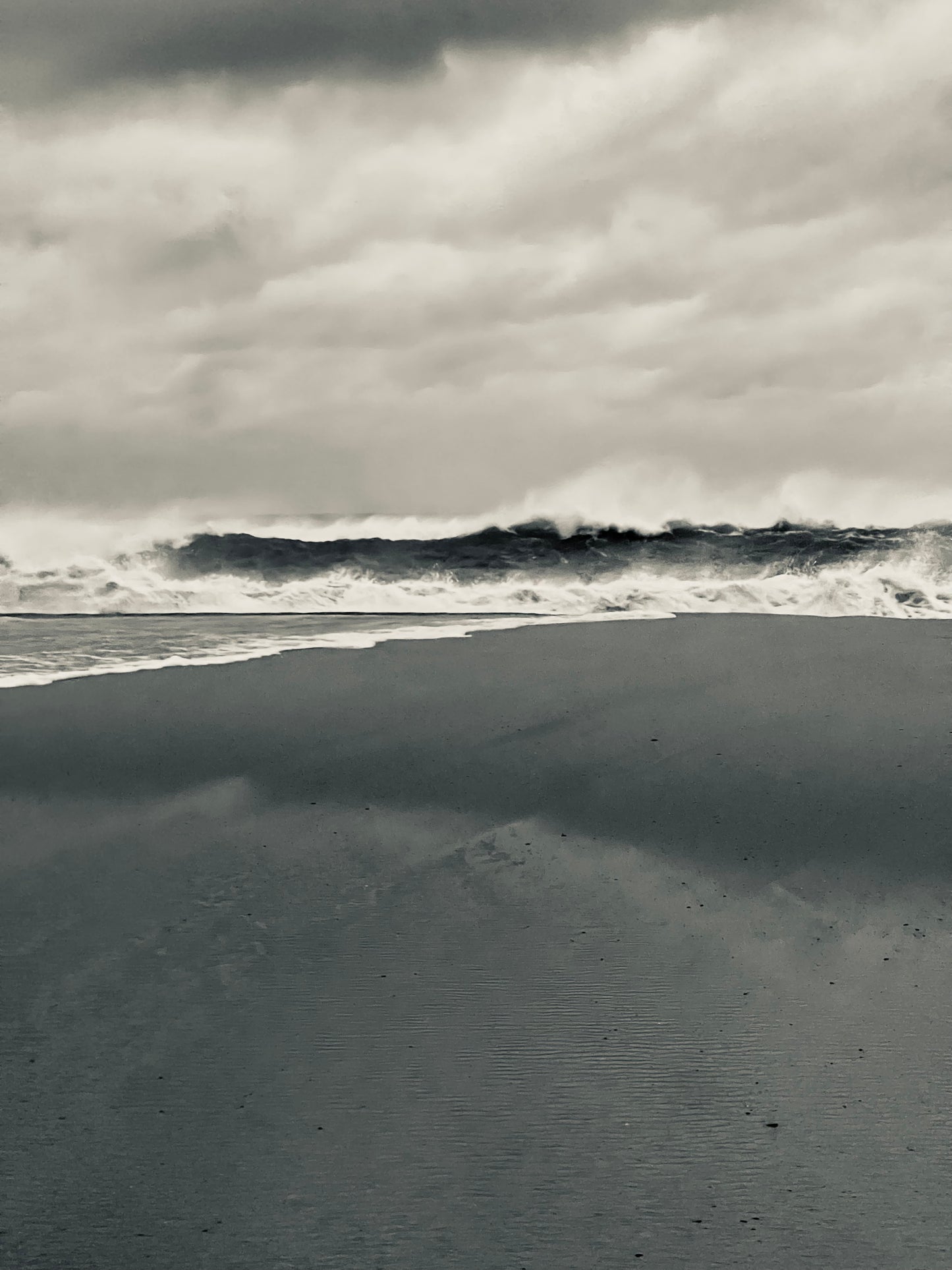 Unleashed Photograph