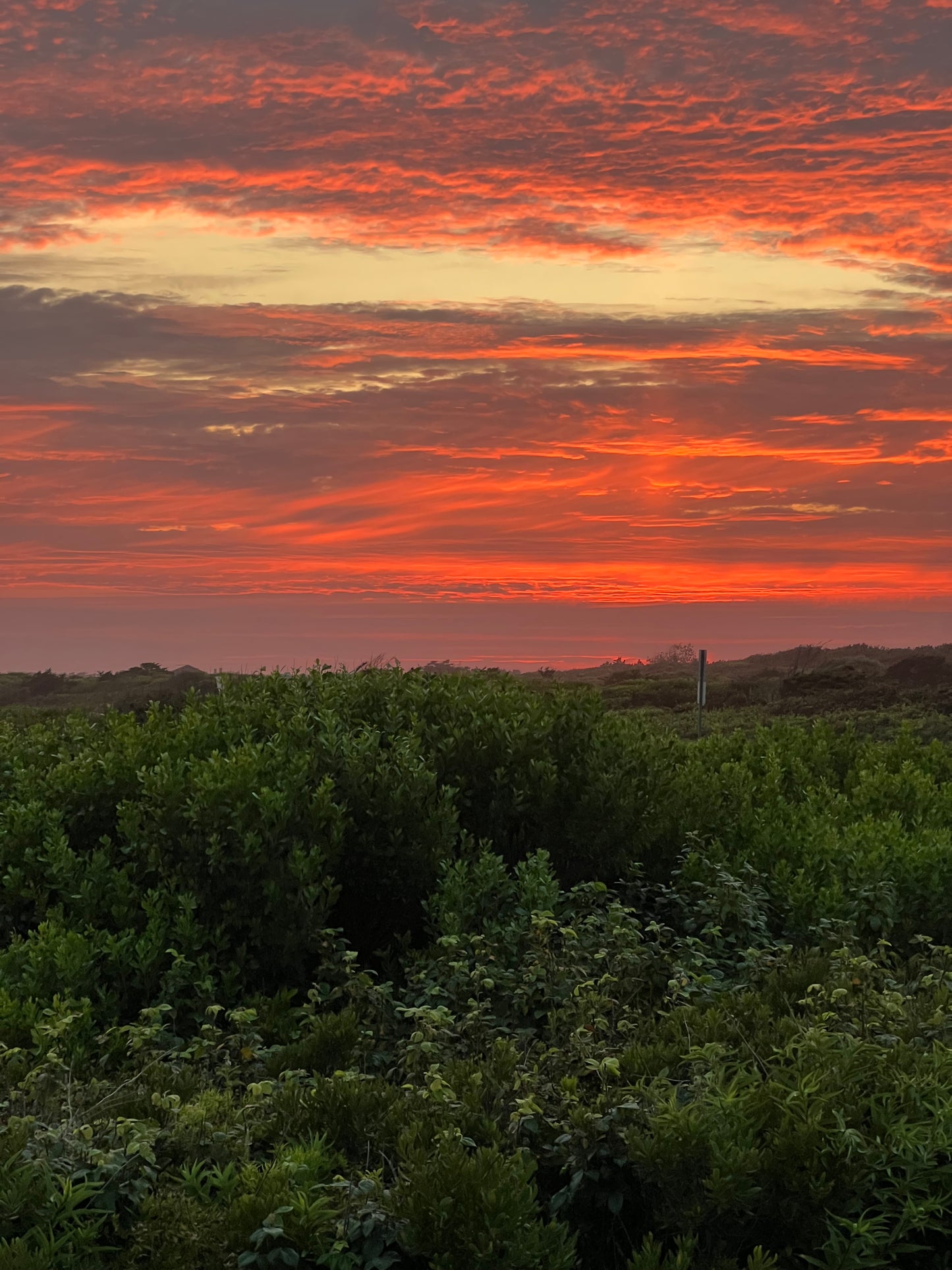 Sunset Spotlight Photograph