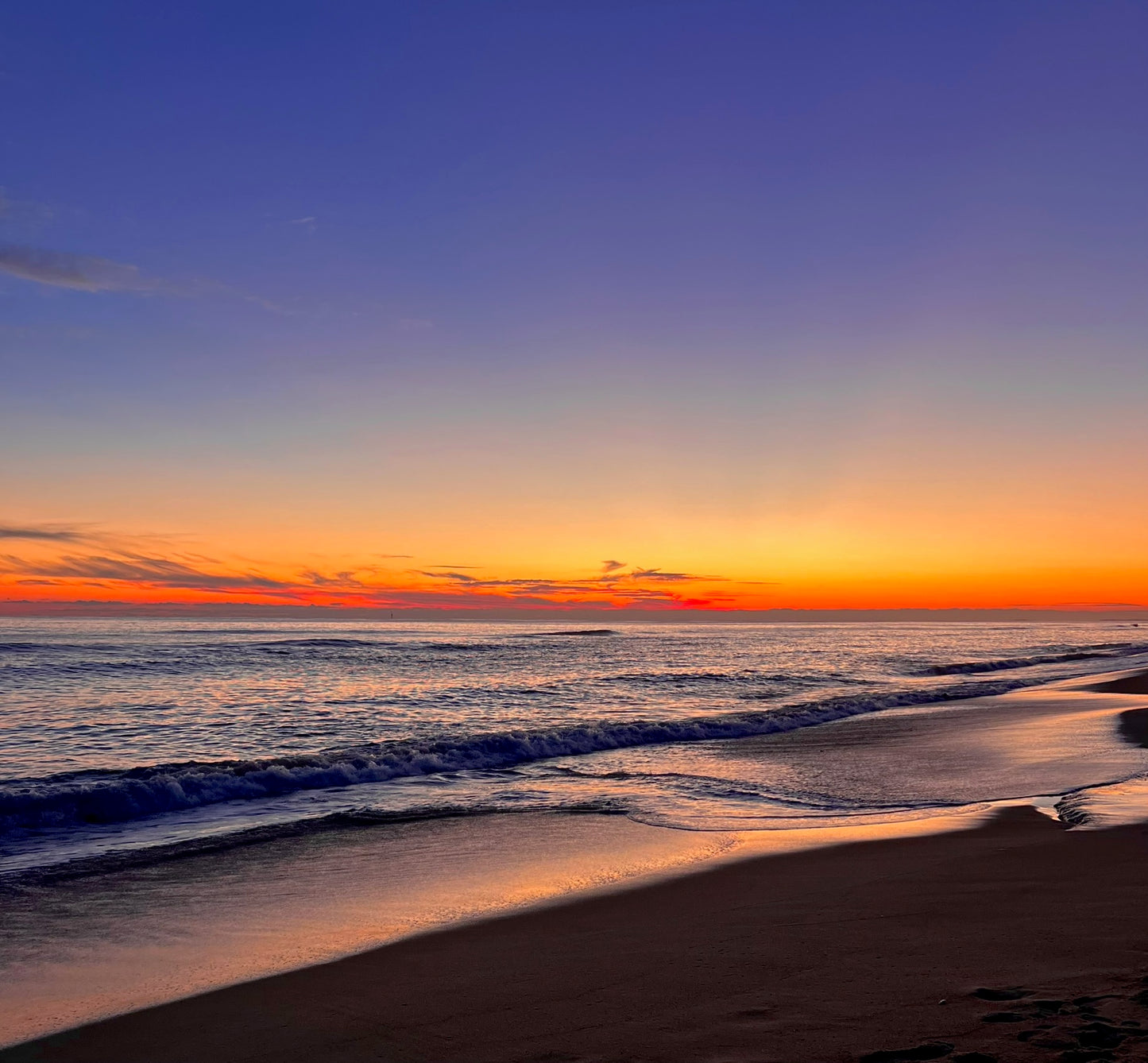 Twilight Sheen Photograph