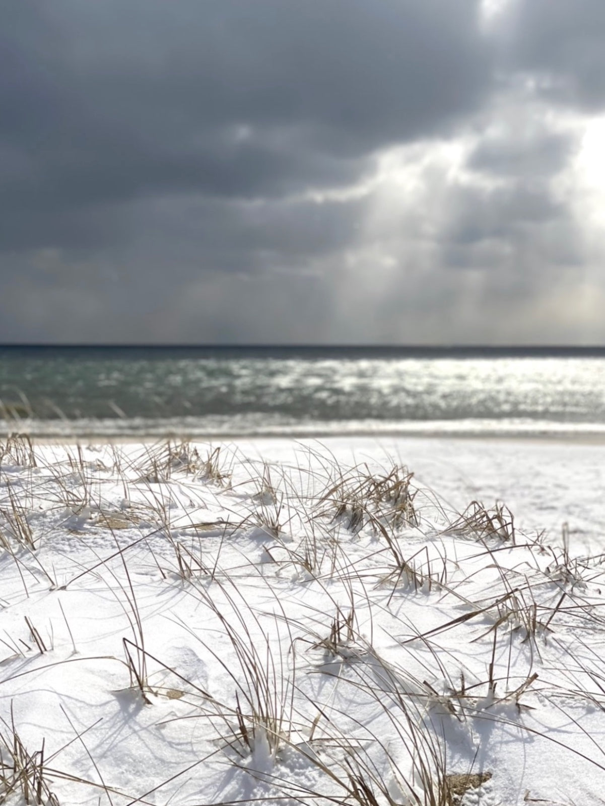 Winter's Edge Photograph