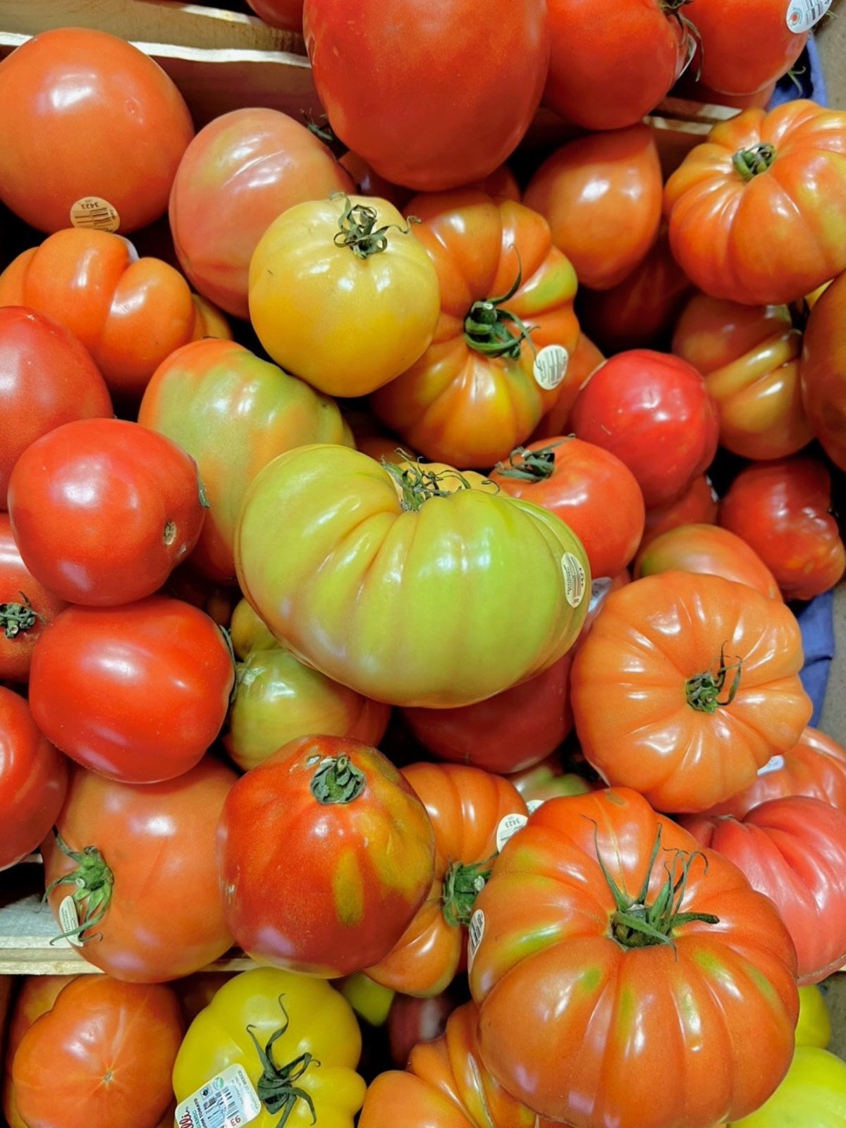 Sweet Vine Photograph