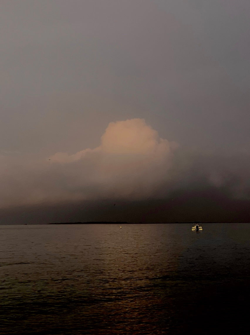 Golden Speck Photograph