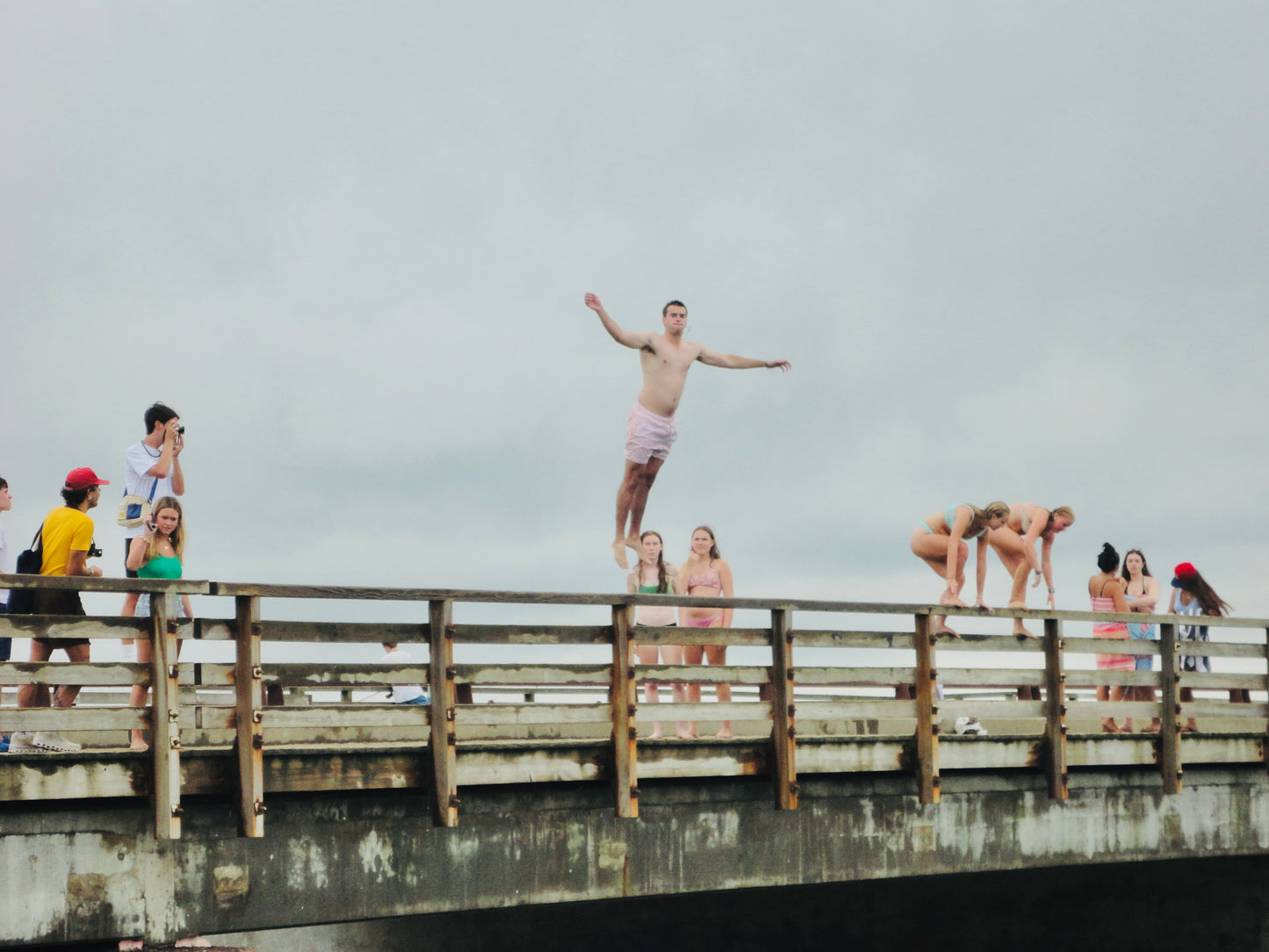 Braving Jaws Photograph