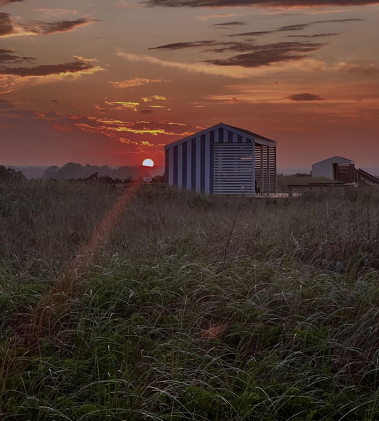 Rustic Ray Photograph