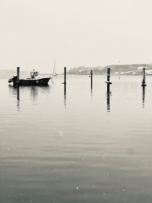 Snow's Solitude Photograph