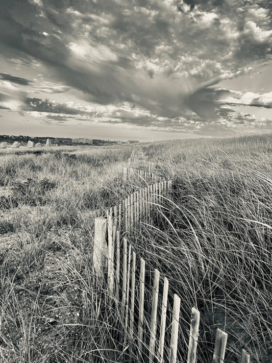 Rustic Crossing B+W Photograph