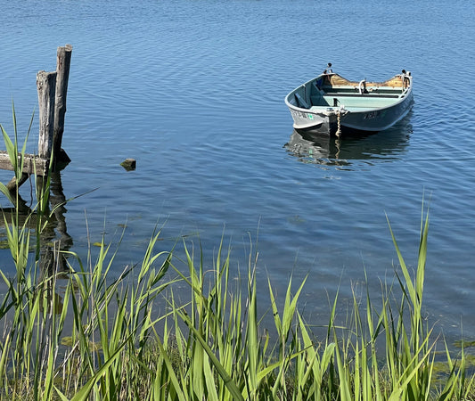 Abandoned Photograph