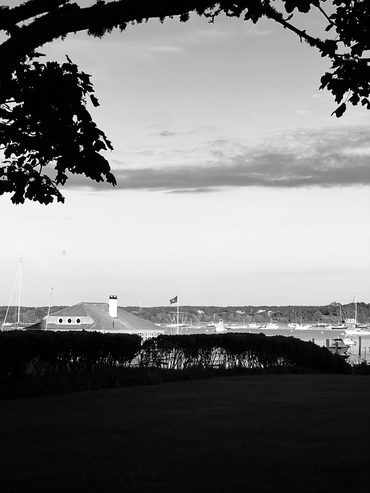 Canopy Catch Photograph