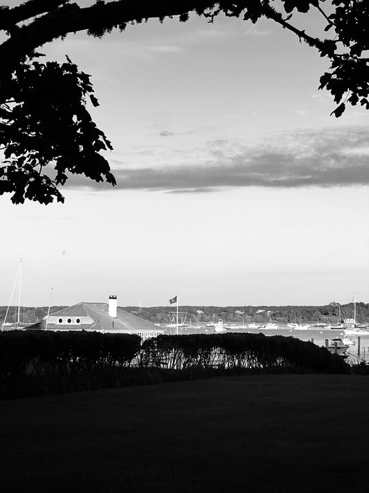 Canopy Catch Photograph