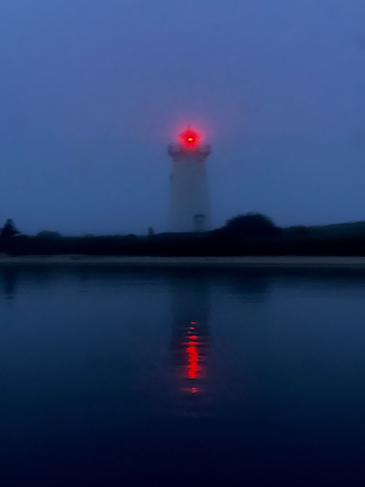 Scarlet Signal Photograph