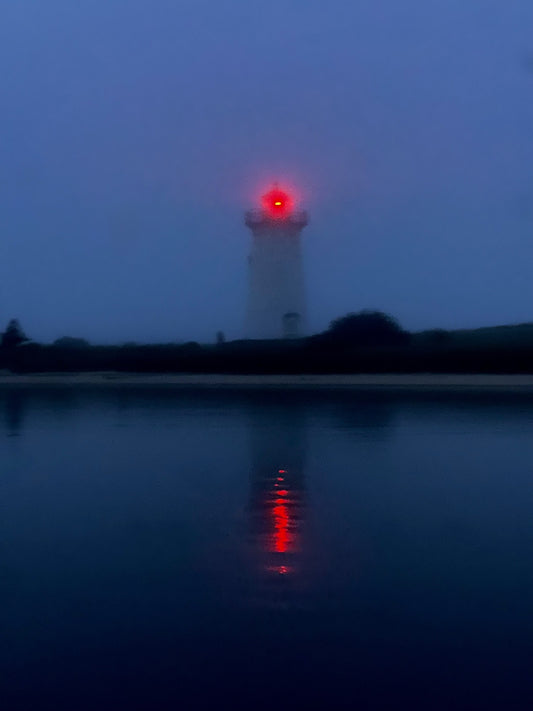 Scarlet Signal Photograph