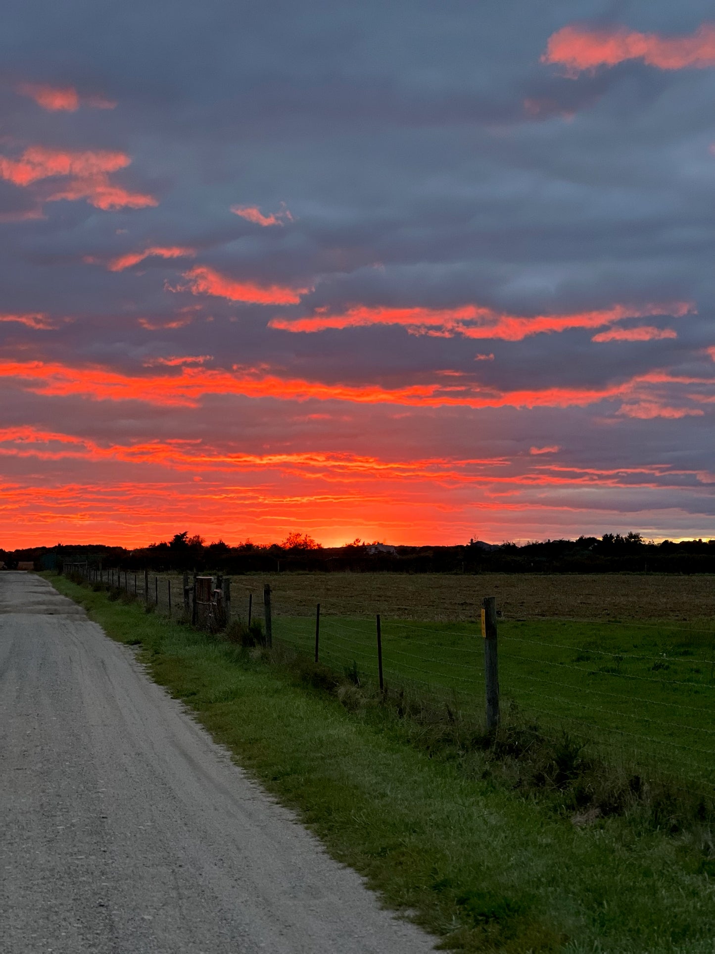 Nature's Canvas Photograph