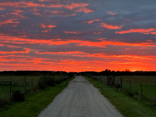 Distant Flames Photograph
