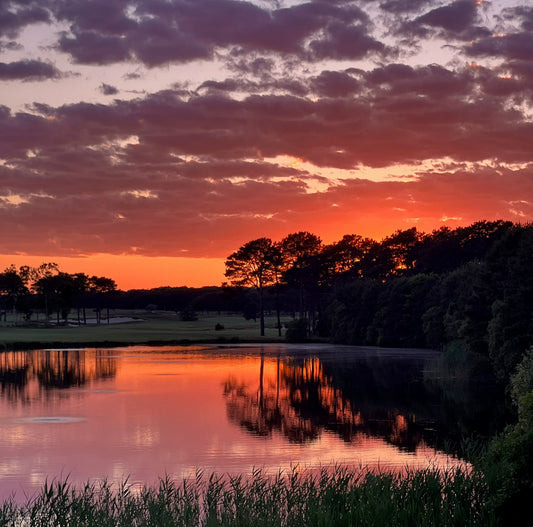 Painted Links Photograph