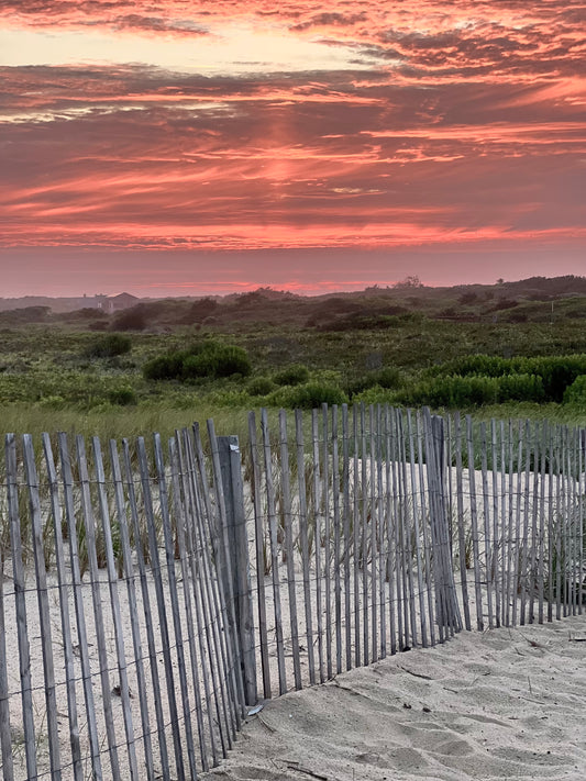 Driftwood Dusk Photograph