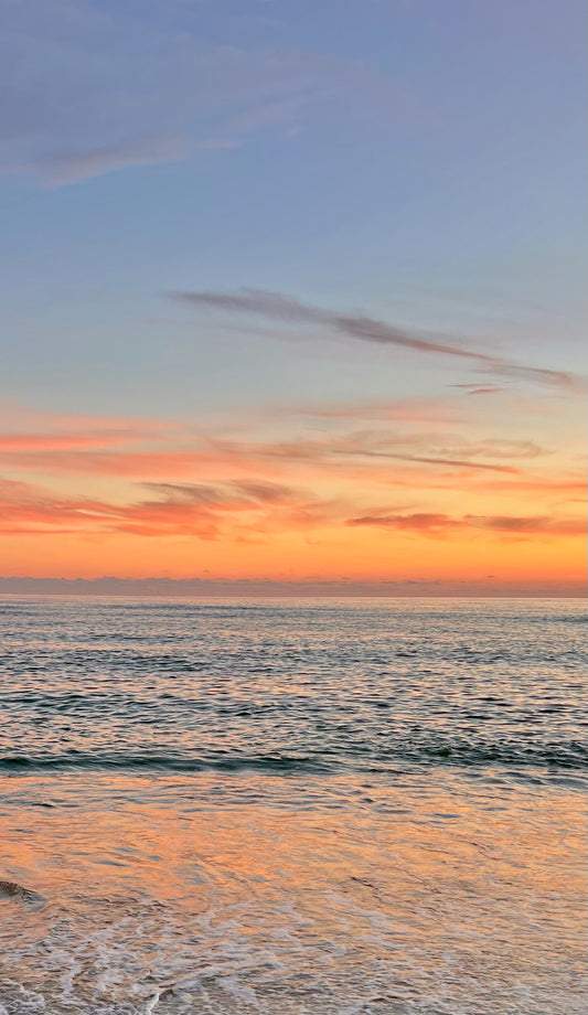 Pastel Palette Photograph