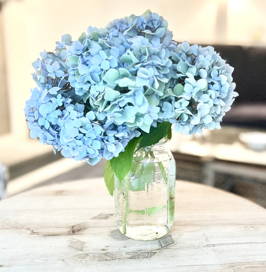 Majestic Mason Photograph