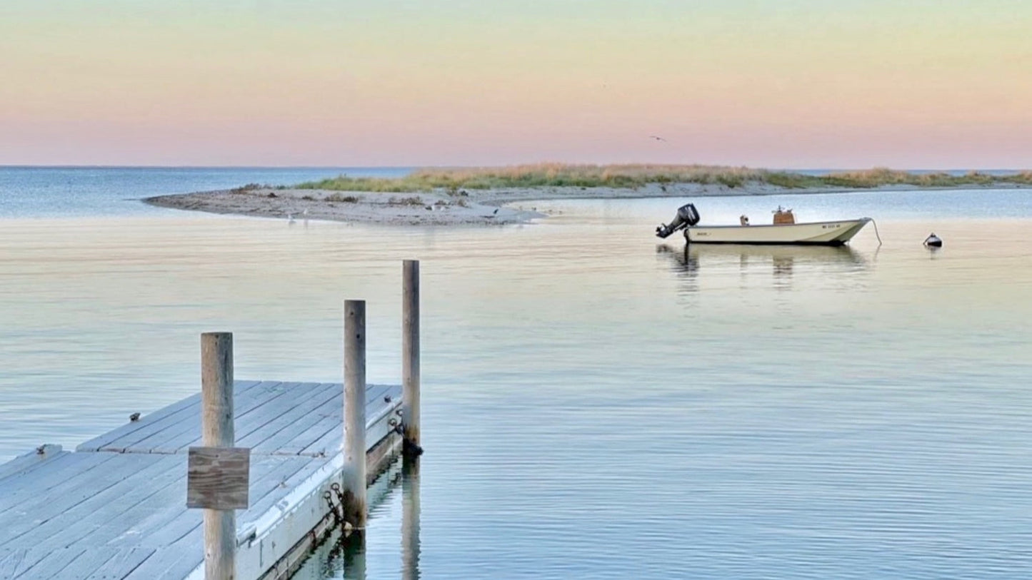 Dock Perch Photograph