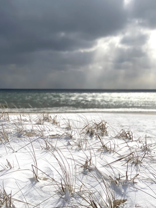 Winter's Edge Photograph