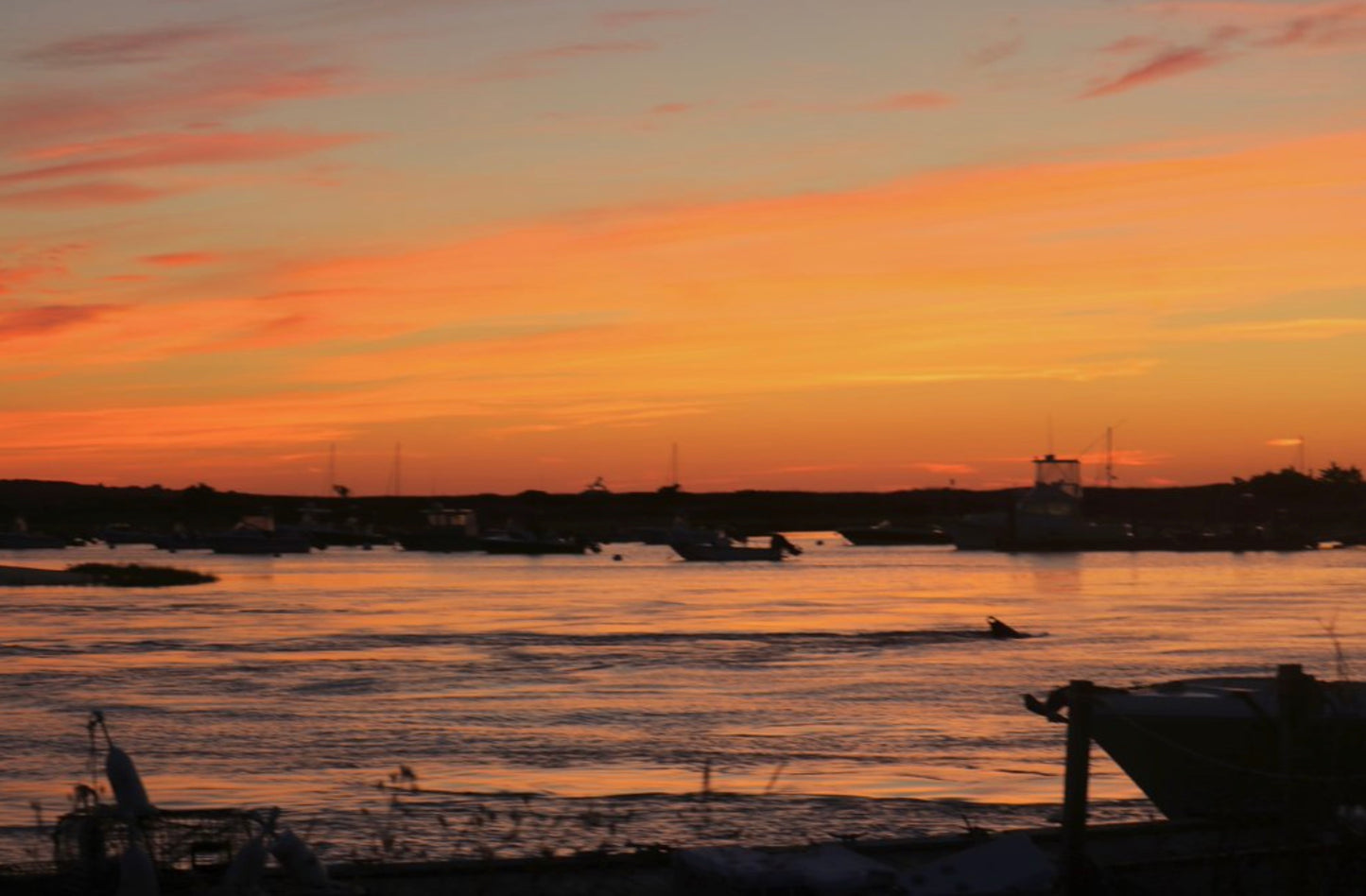 Bay Monet Photograph