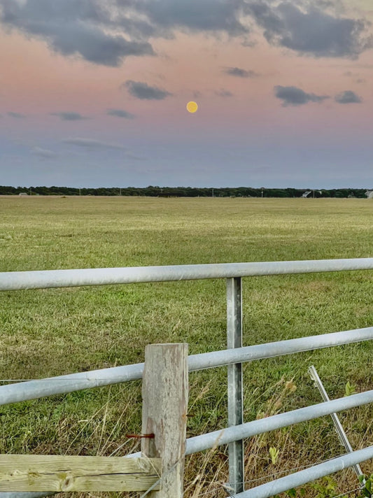 Farm at Dusk Photograph