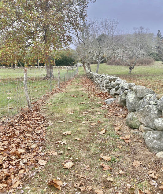 Hiker's Heaven Photograph