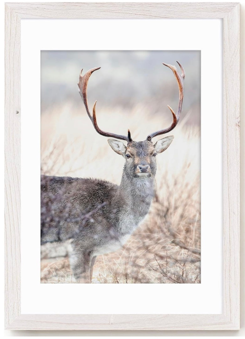 Rustic White Premium Wood 2" Frame