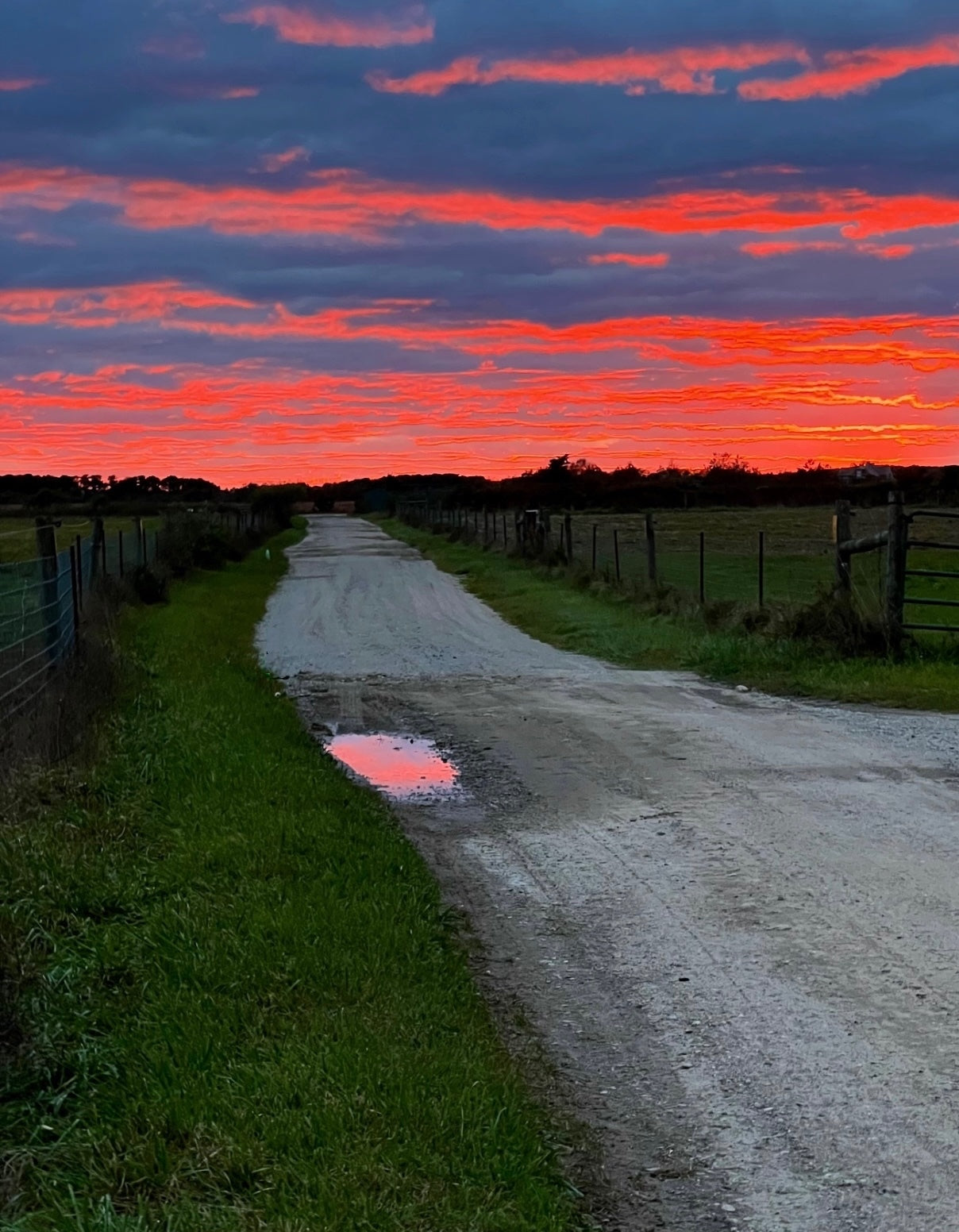 Liquid Sunset Photograph