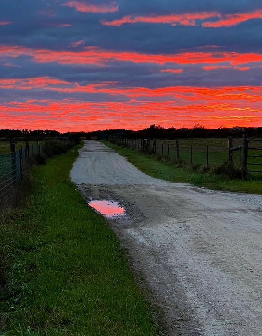 Liquid Sunset Photograph